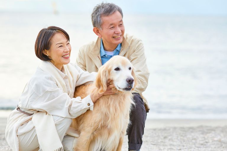 健康寿命を左右する口腔内｜アーバン歯科 池袋駅前院